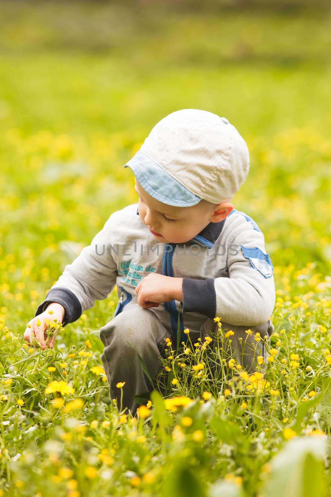 Boy plays with flowers on the meadows