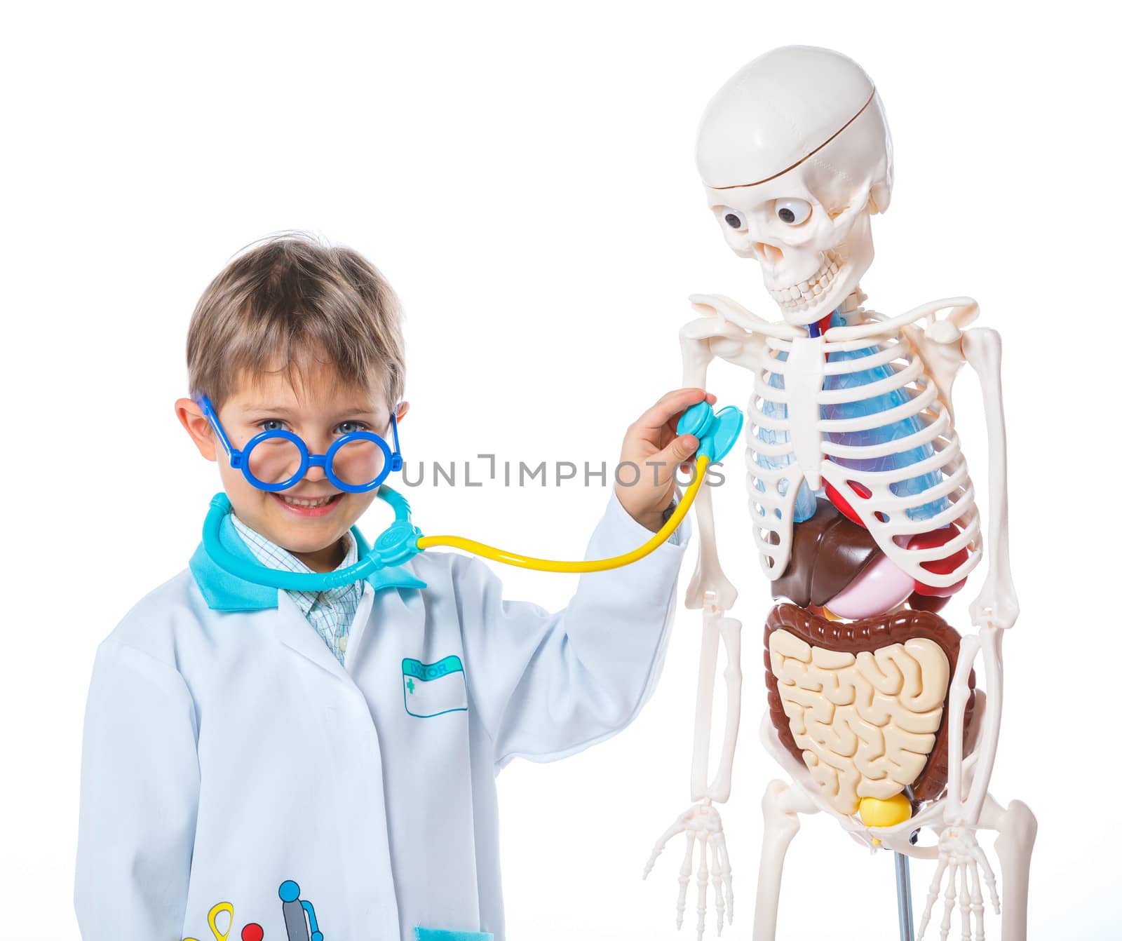 A little smiling doctor with stethoscope and skeleton. Isolated on white background