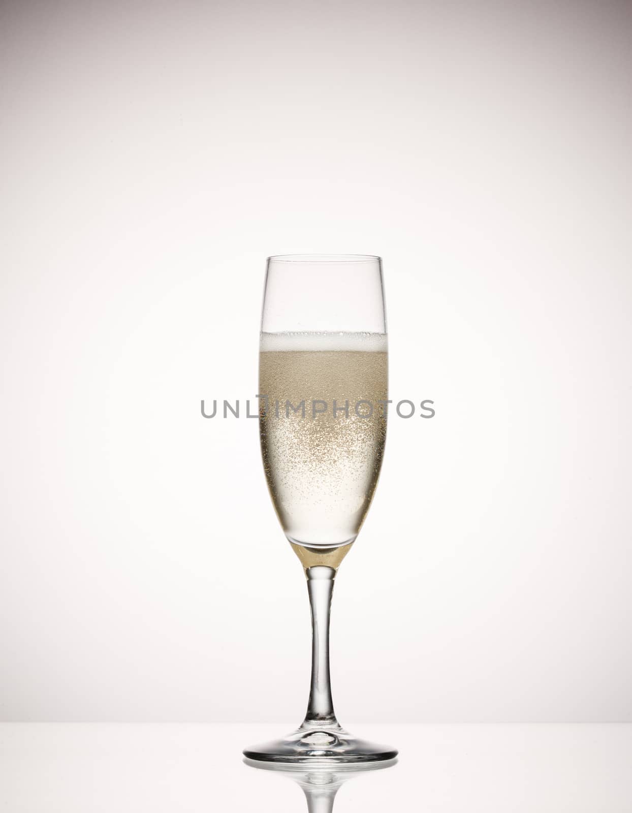 champagne glass by agg