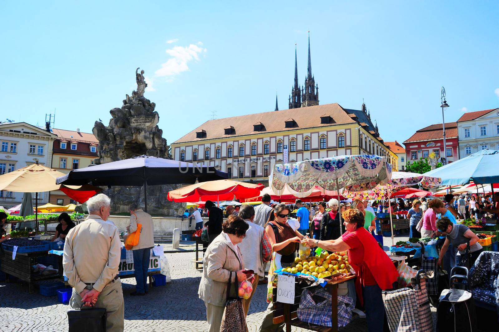 Czech market by joyfull