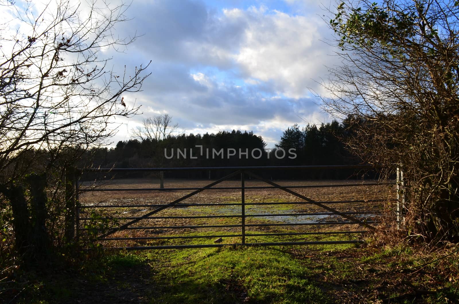 A metal farm gate leading to a water logged ploughed field in the County of Sussex, England.