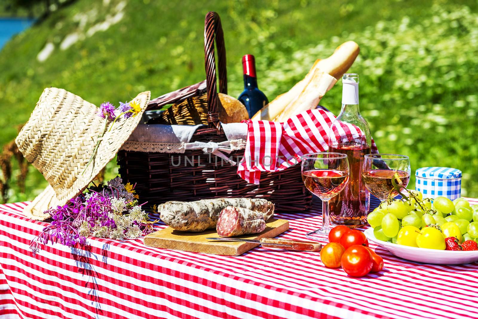 tasted picnic on the grass near a lake