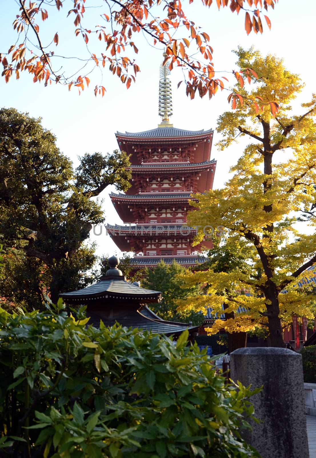 Pagoda of Senso-ji temple in Asakusa, Tokyo, Japan by siraanamwong