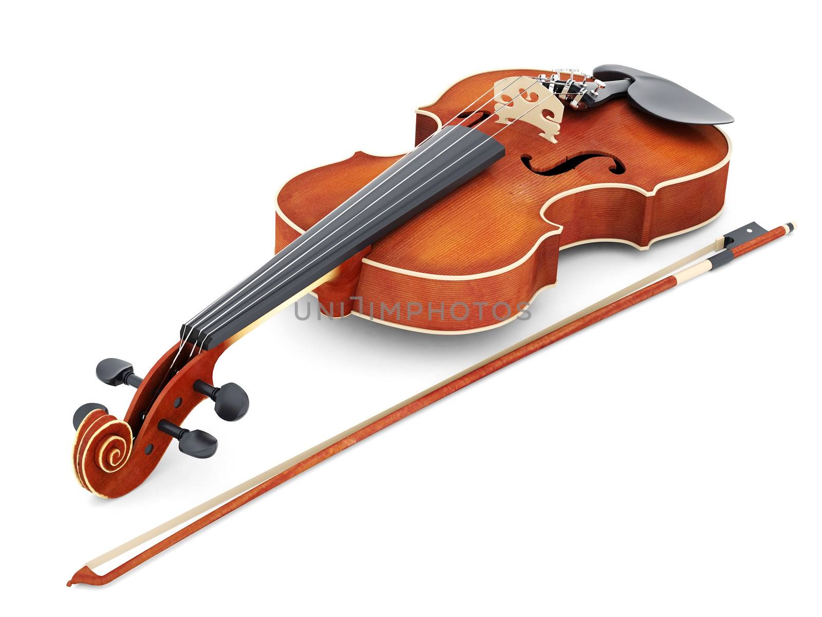 beautiful violin on a white background isolated