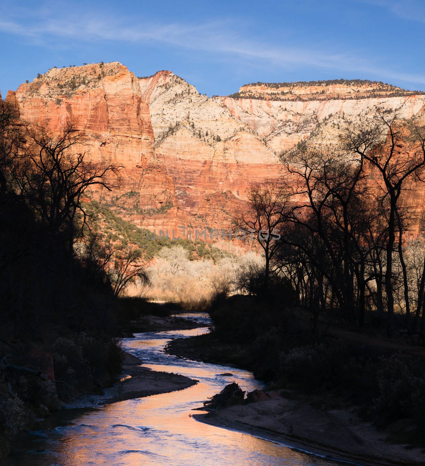 The light has not quite reached the vally int this vertical composition of early morning in the desert Southwest