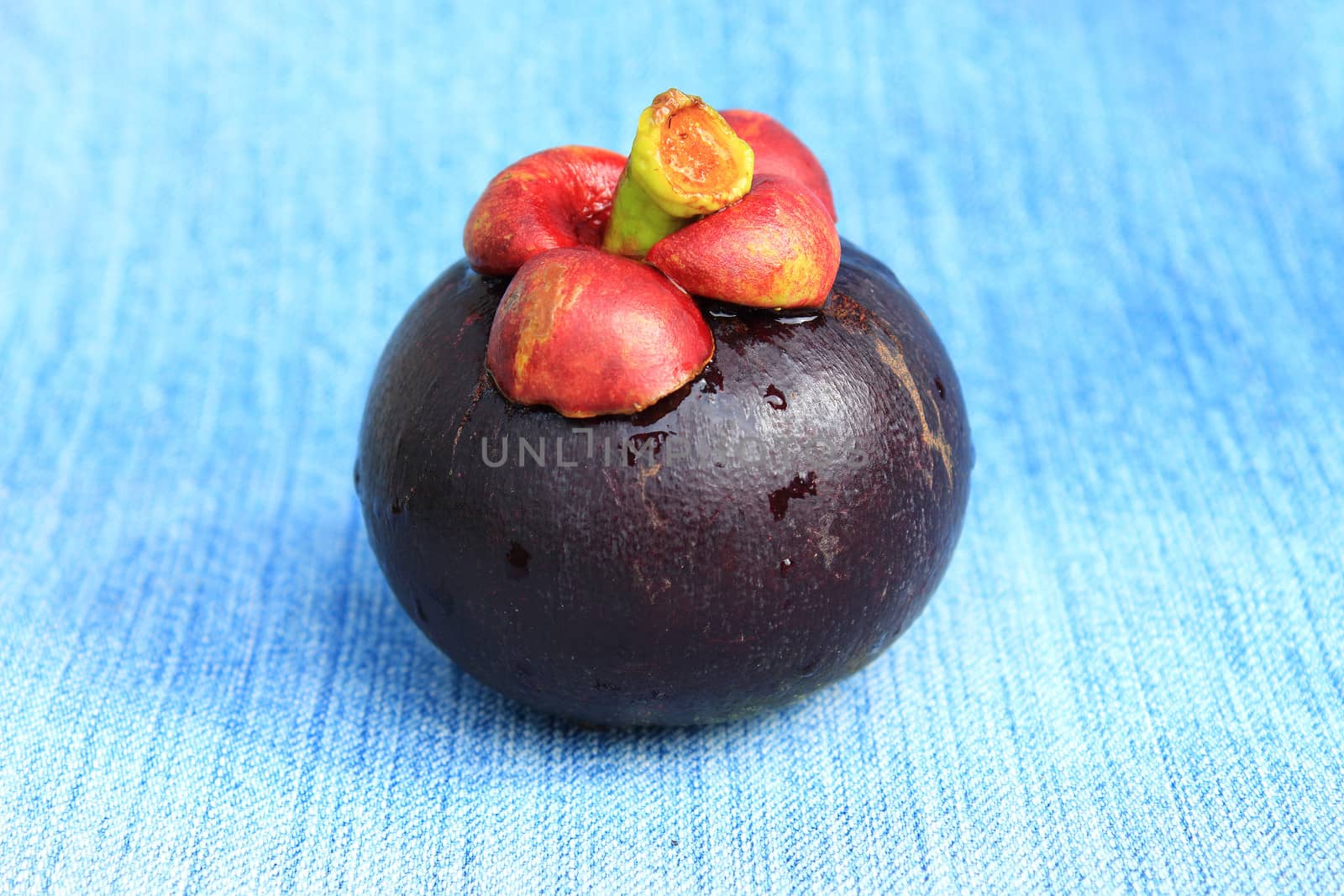 Fresh mangosteen fruit