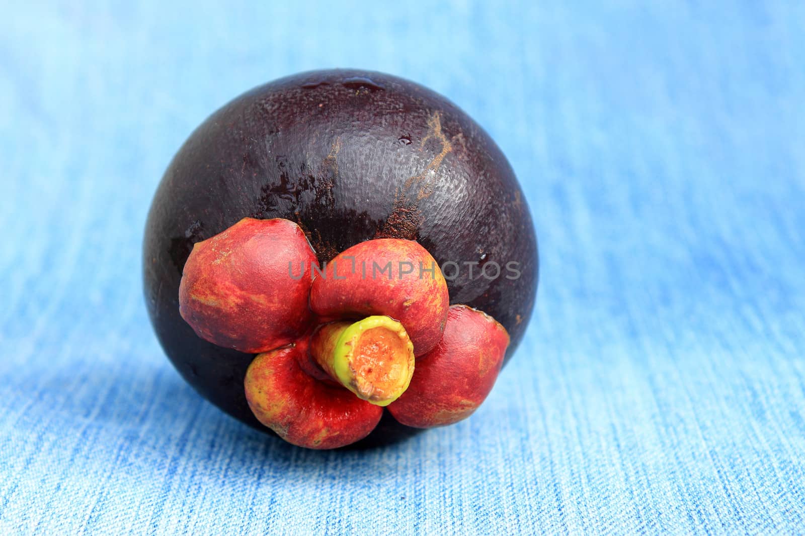 Fresh mangosteen fruit