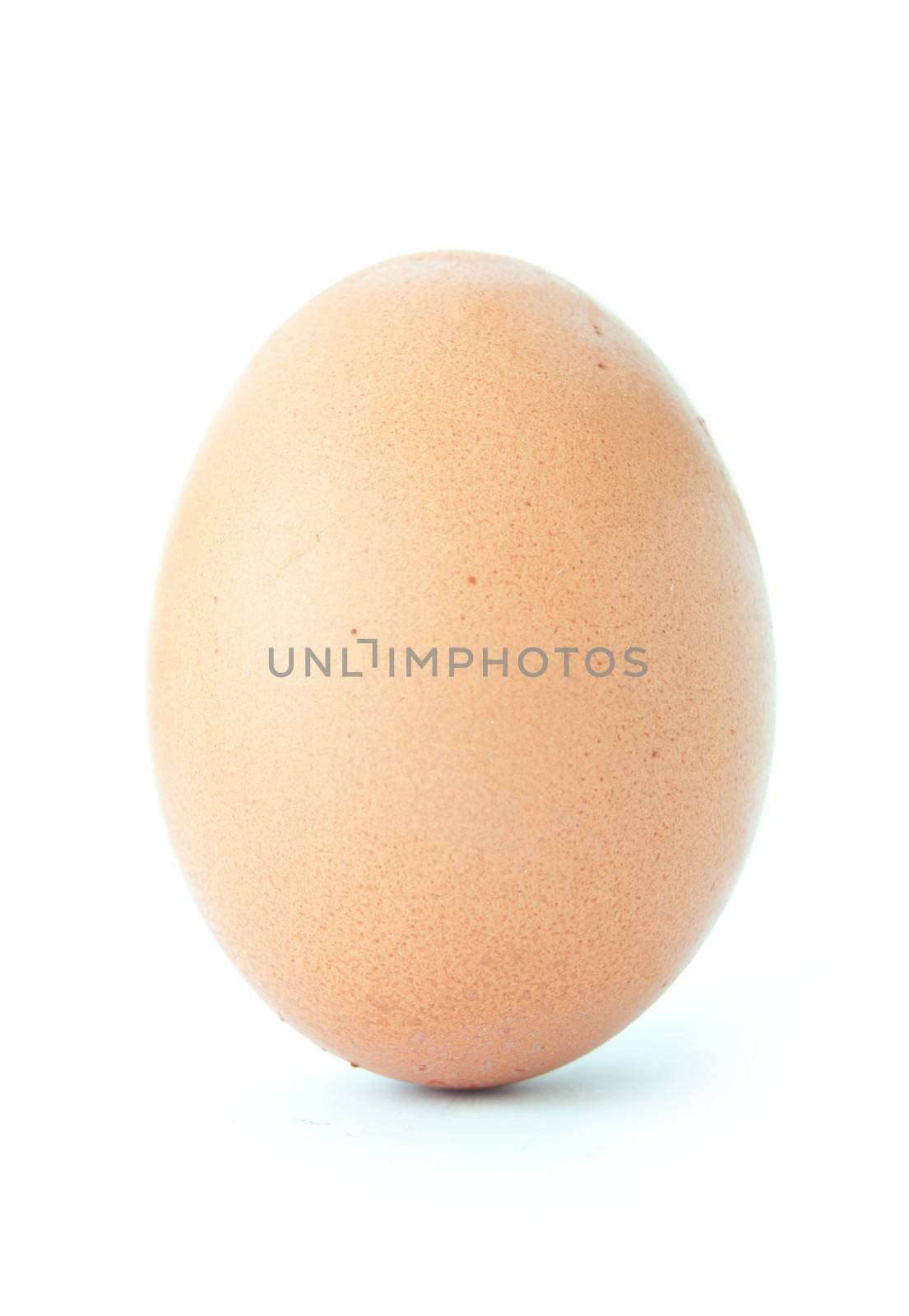 Single egg over a white background