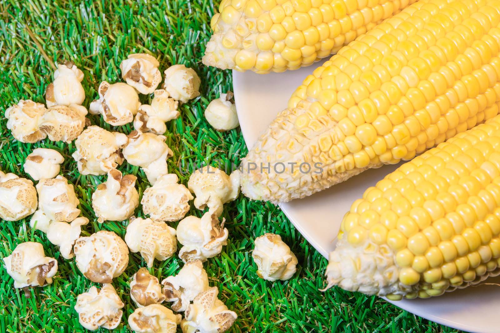 popcorn,Honey glazed roasted corn.