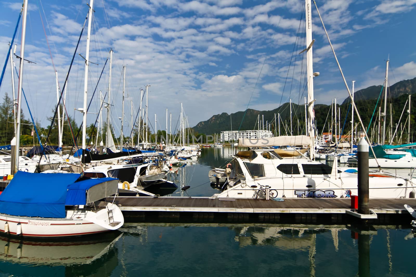 boat in the marina in a bright sunny day