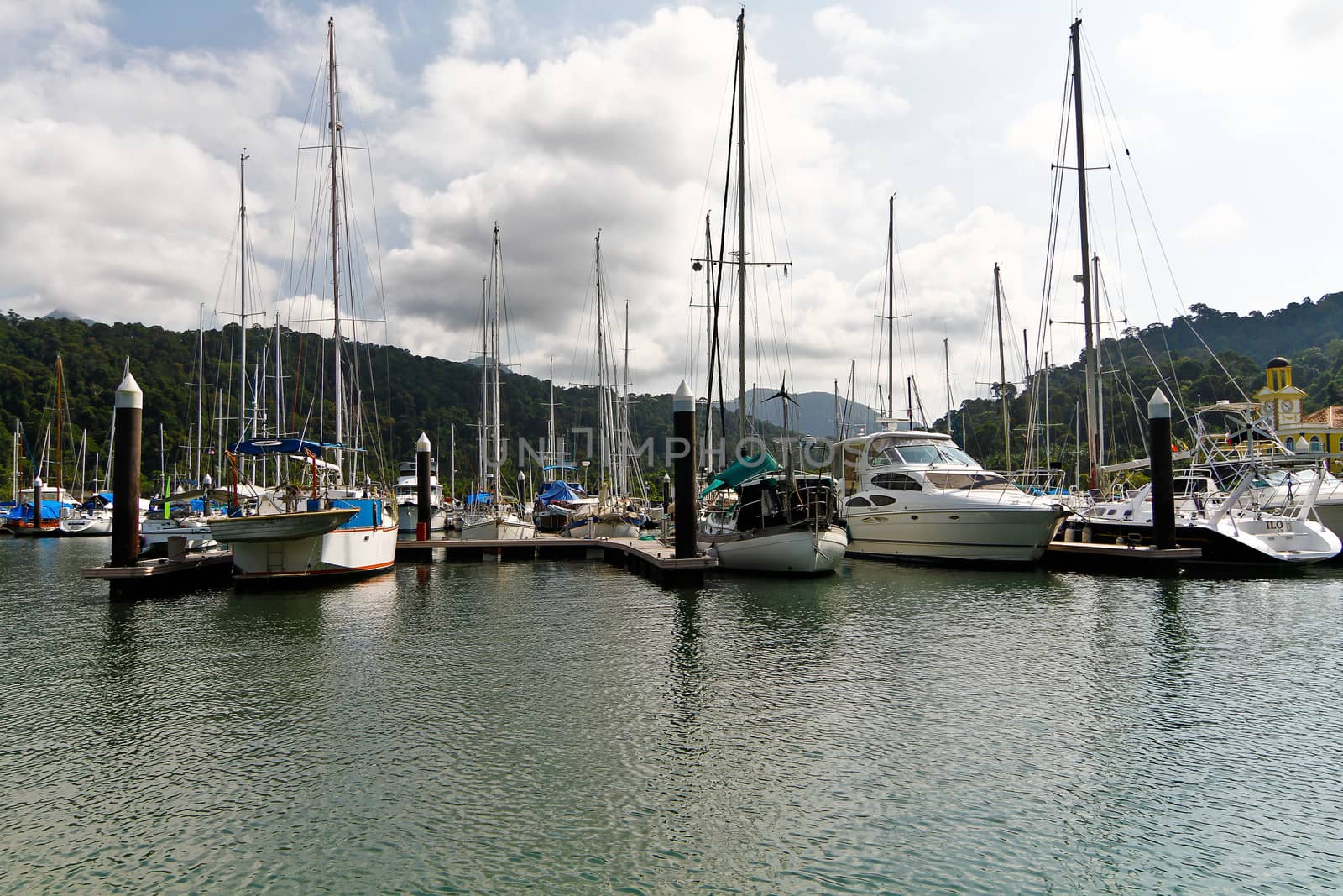 sailing boat in marina