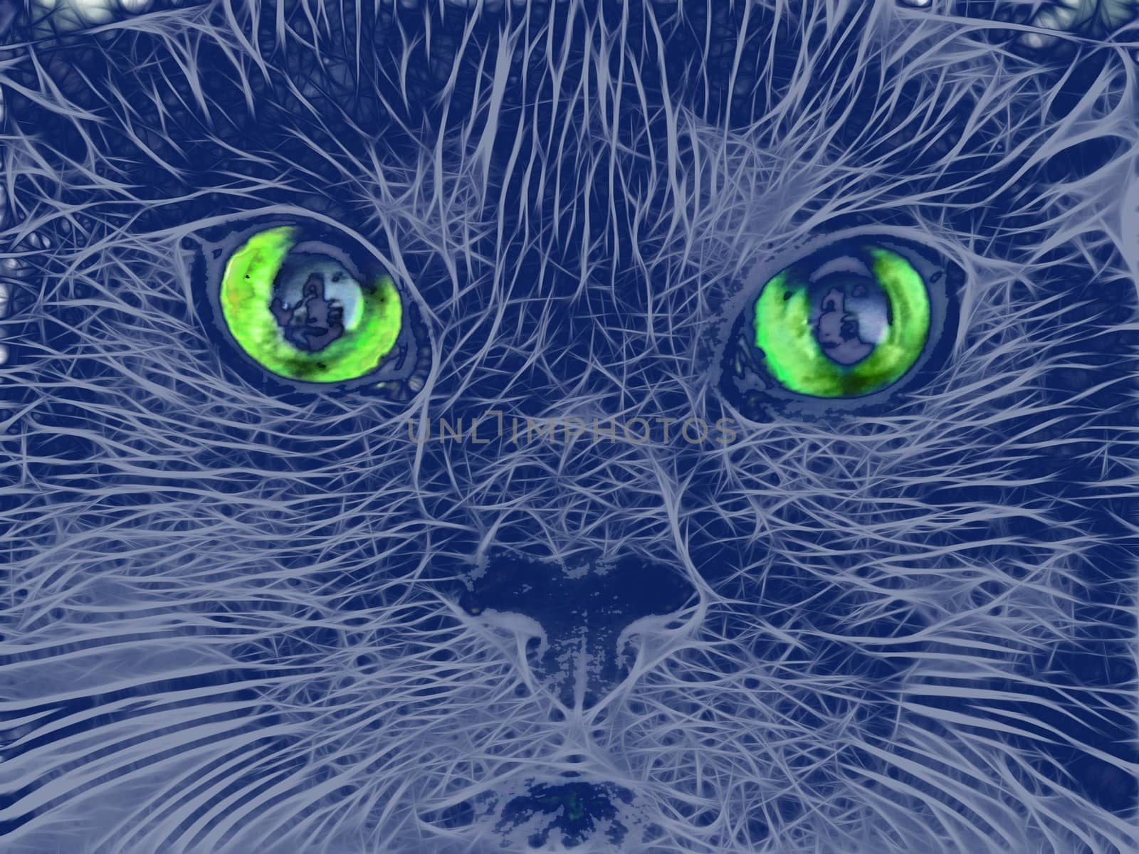 Abstract illustration of a cats face