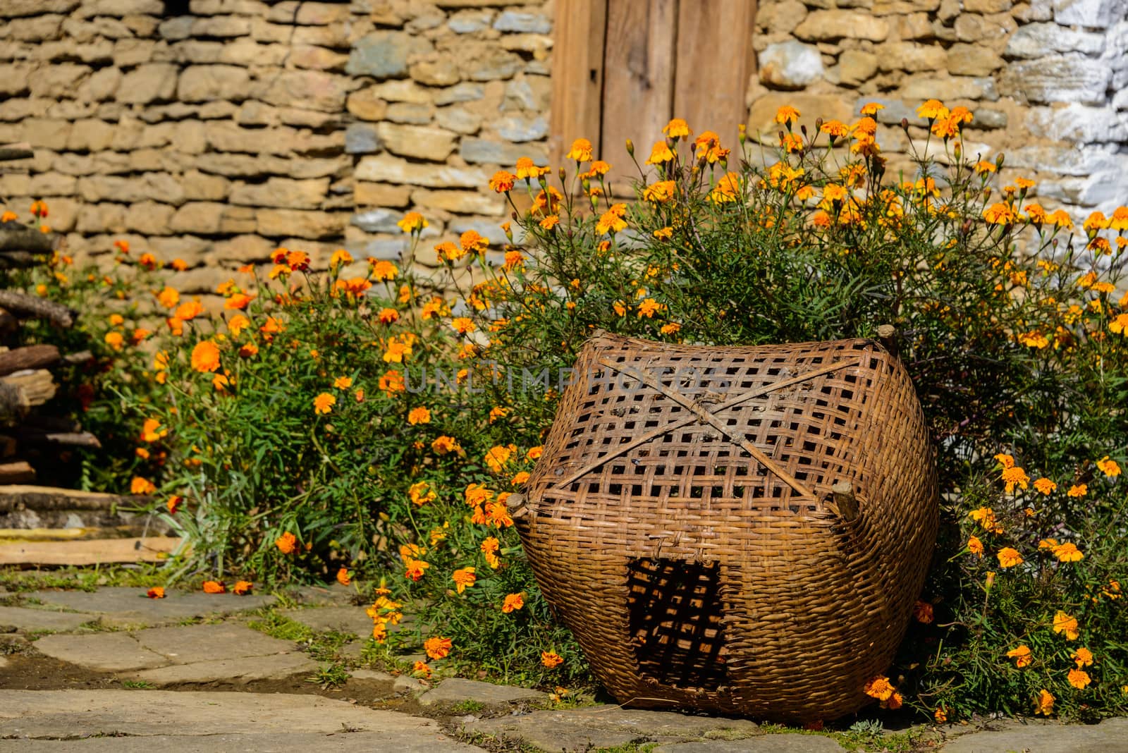 Wicker basket and orange flowers