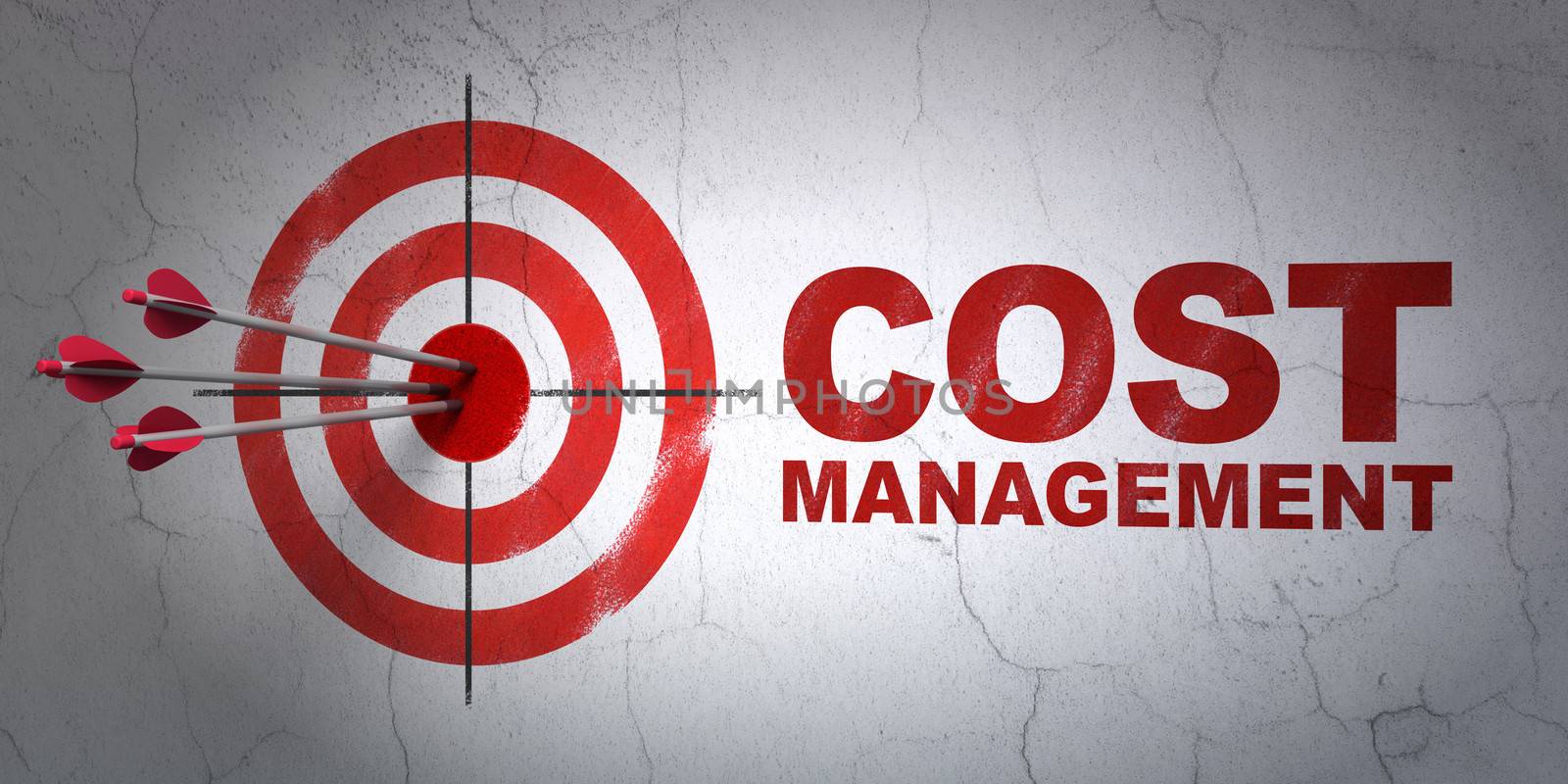 Success business concept: arrows hitting the center of target, Red Cost Management on wall background, 3d render