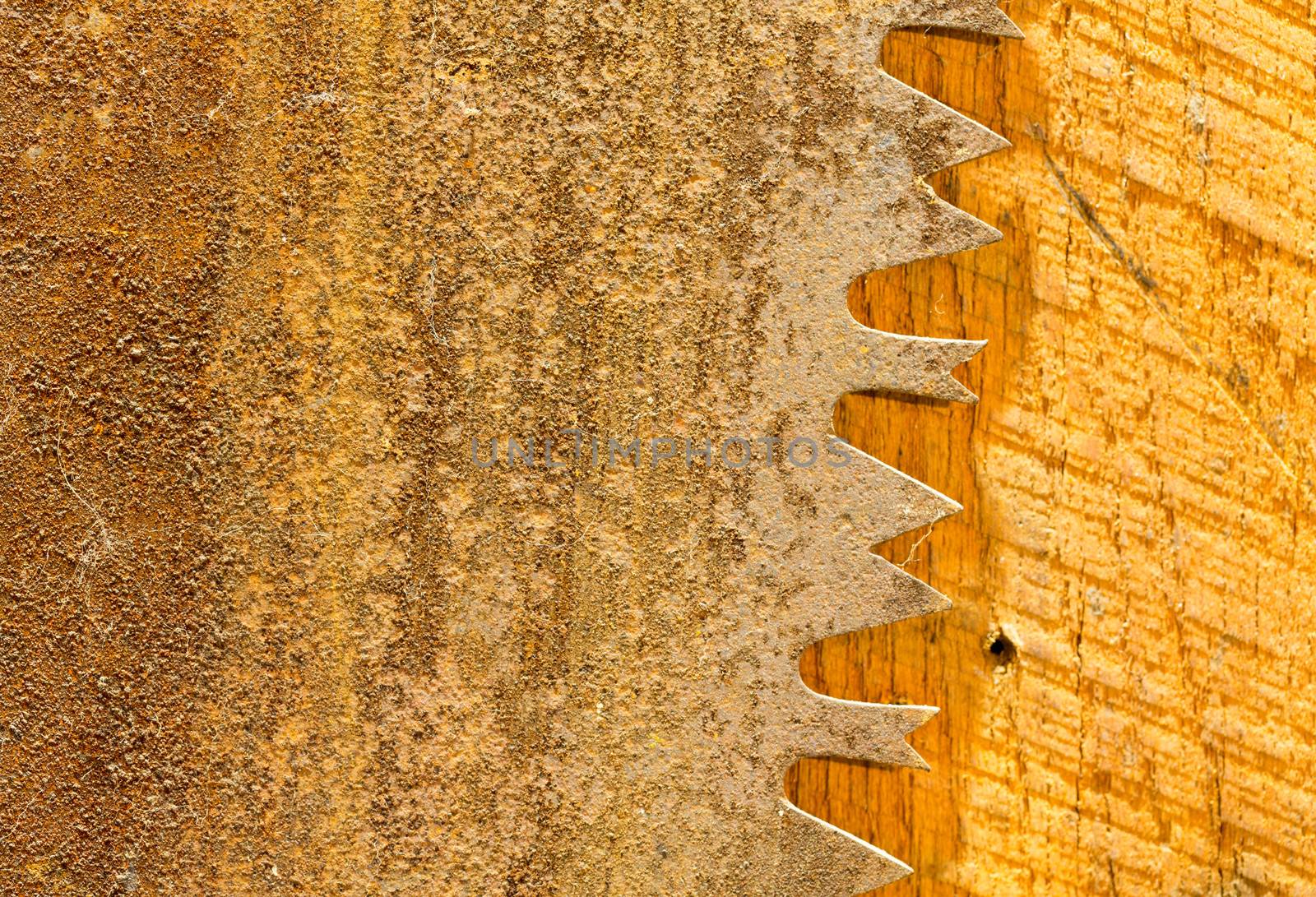Macro image of the sharp teeth of large circular saw blade which is rusty and is placed against sawn wooden panel