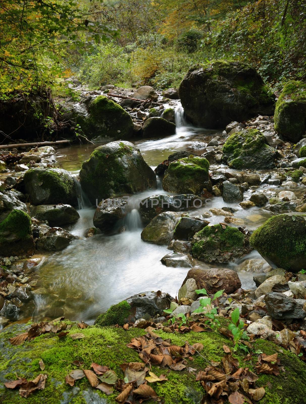 View on the small river between stones in forest