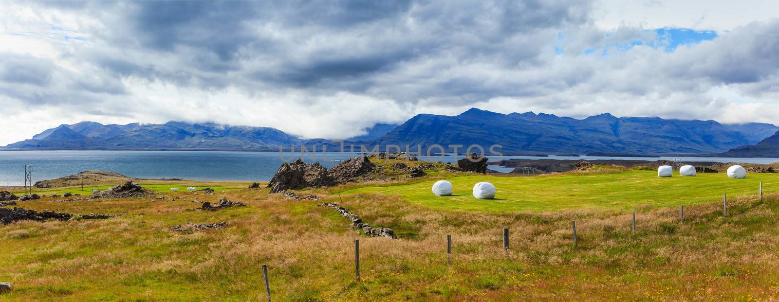 Hay bales in white plastic on the meadow. Iceland. Panorama