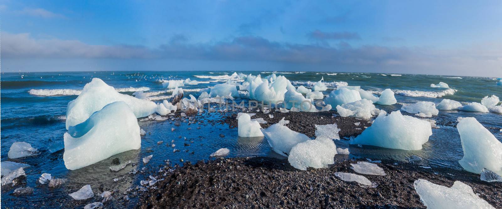 Beautiful beach in the South of Iceland with a black lava sand is full of icebergs from glaciers not far away. Panorama