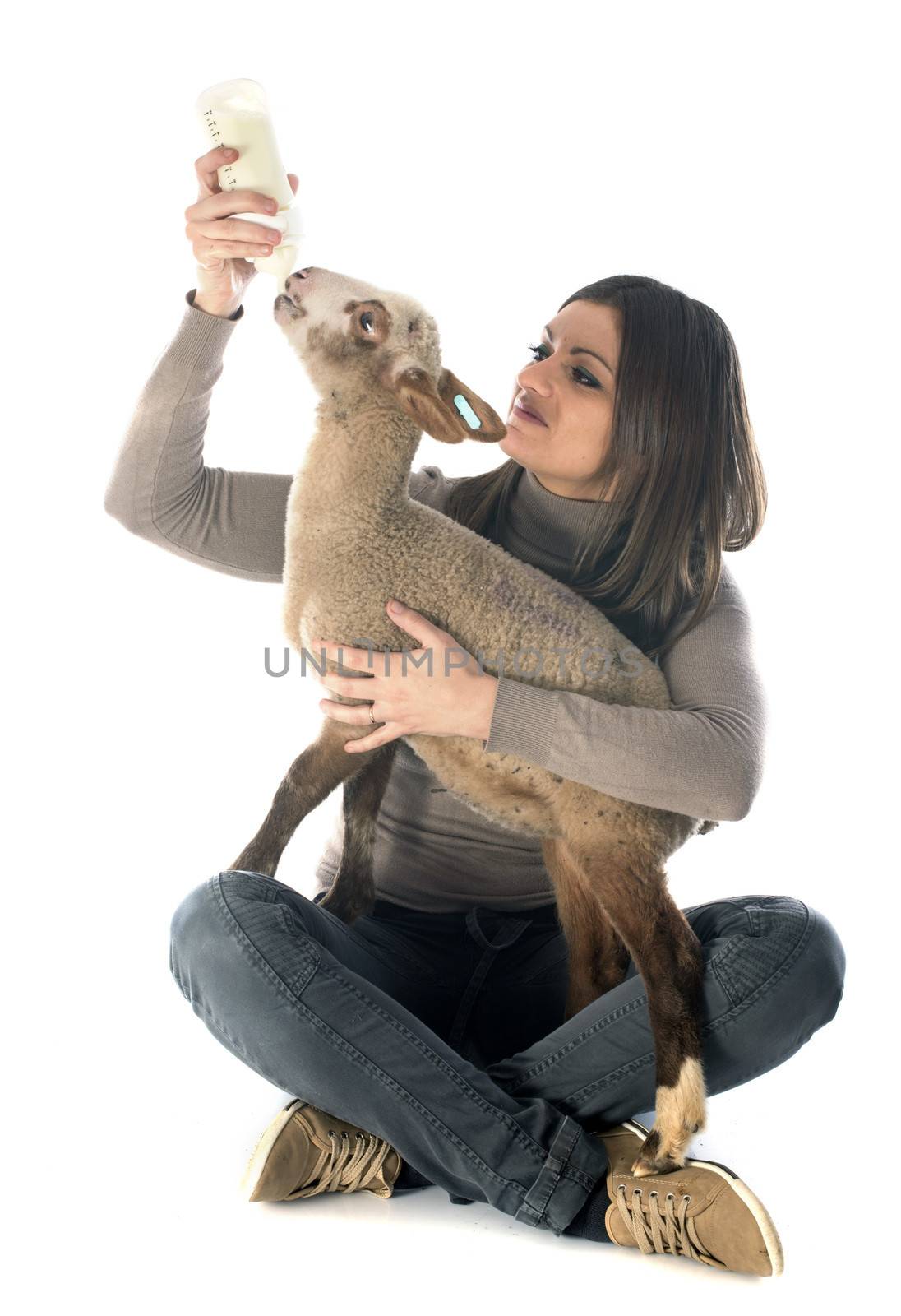 young lamb sucking a bottle feed with woman in front of white background
