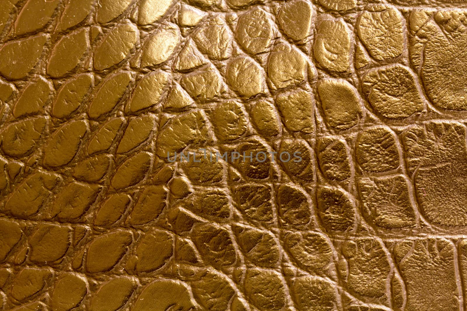 lookalike leather closeup by Stootsy