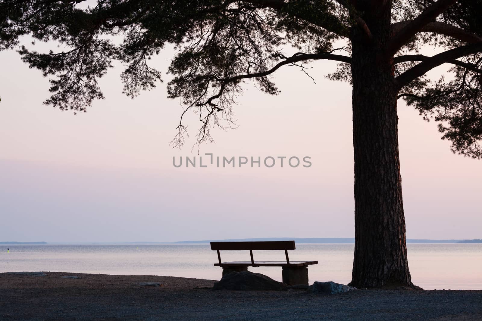 Bench and tree silhouette viewing to serene lake