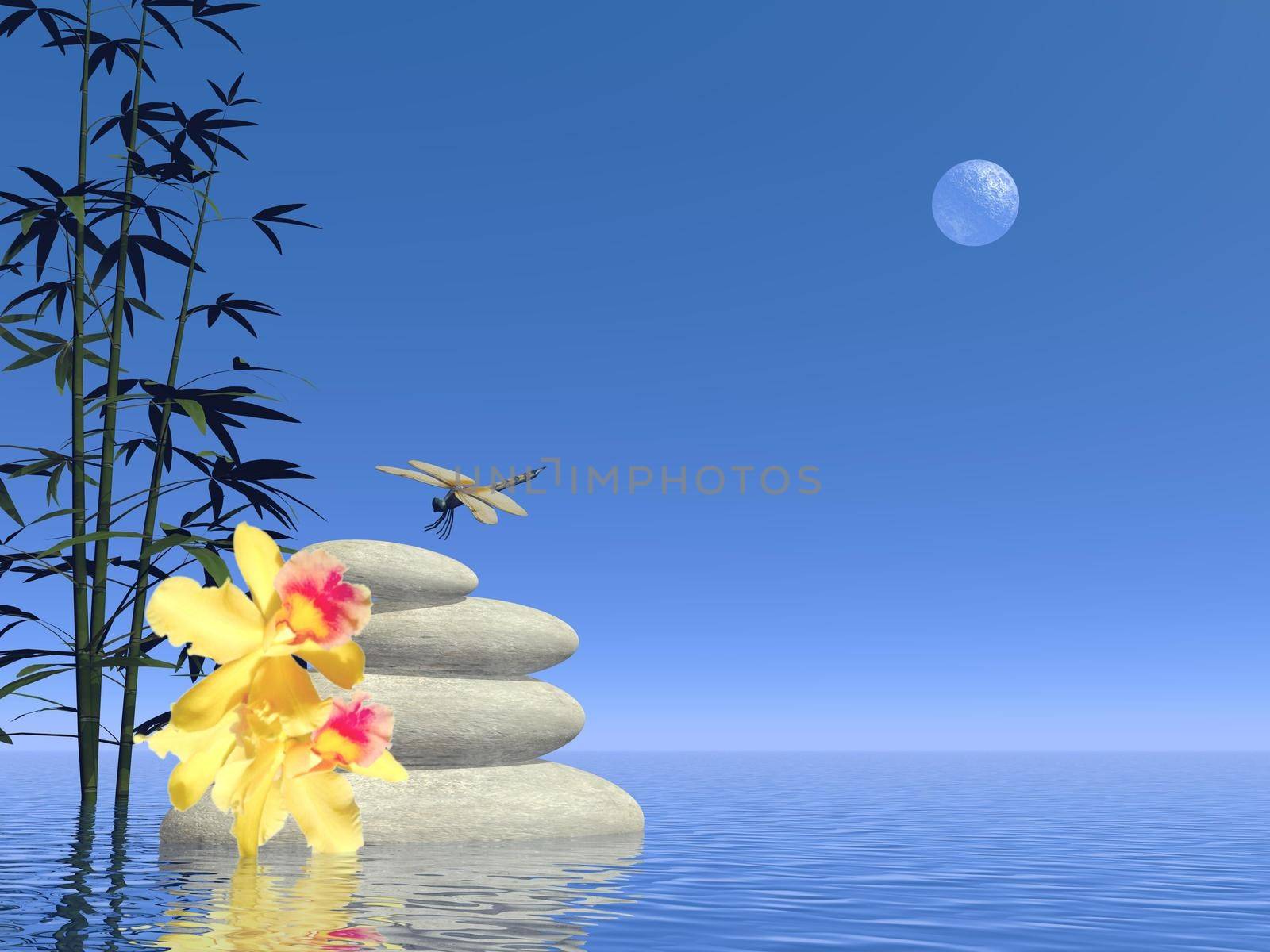 White stones in balance, yellow flowers and dragonfly next to bamboos into water by full moon clear night