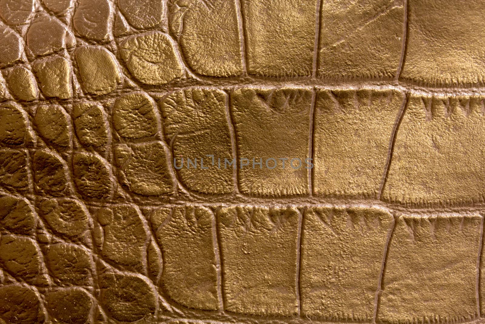 Close up leather  by Stootsy