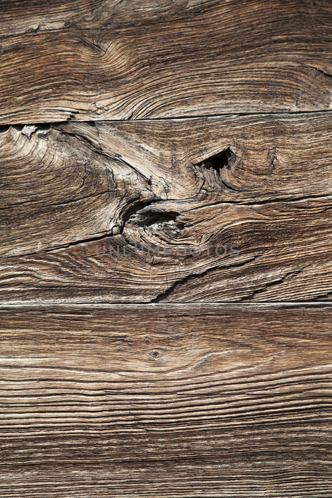 Old wood background