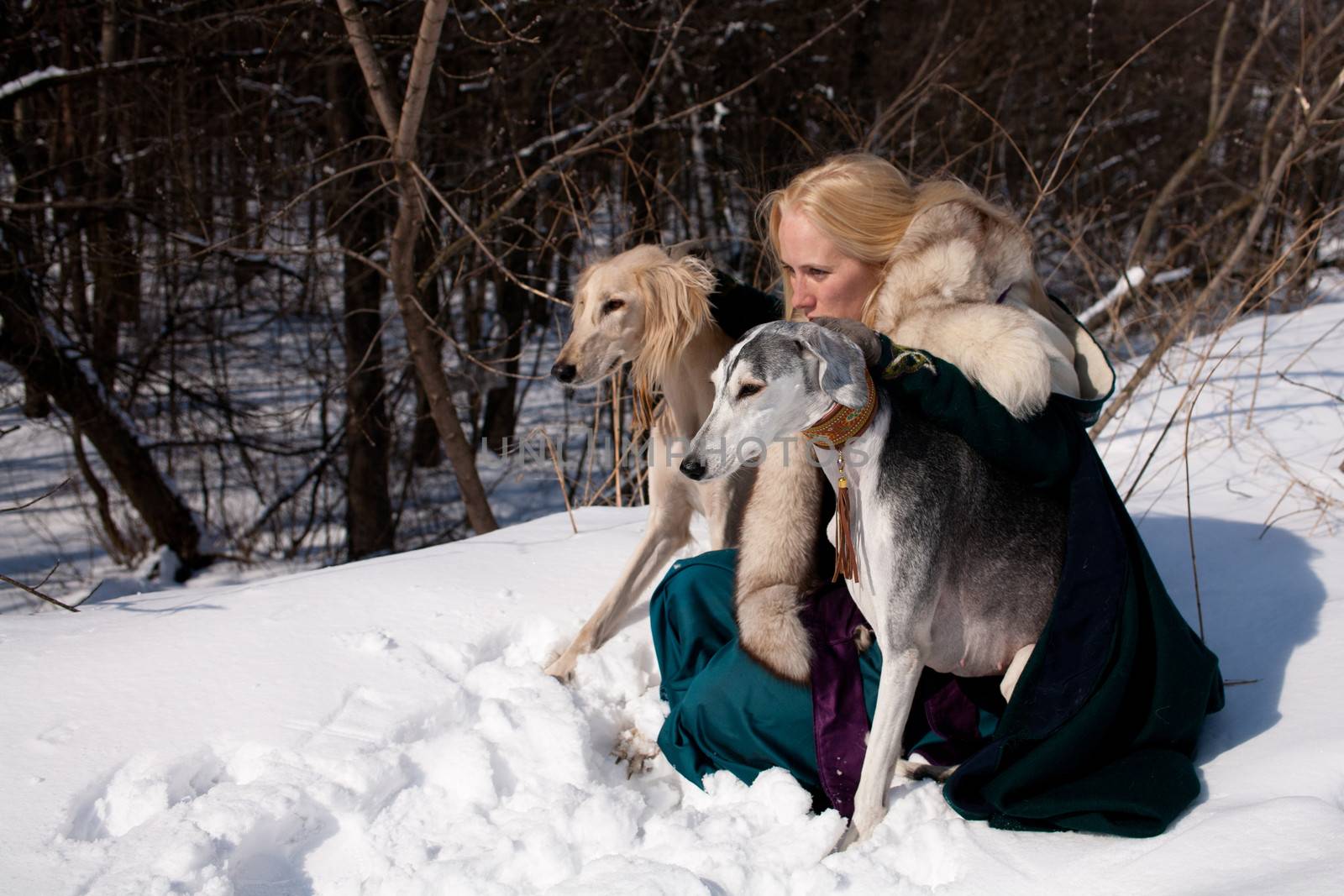 A blonde girl and grey and white salukies on snow
