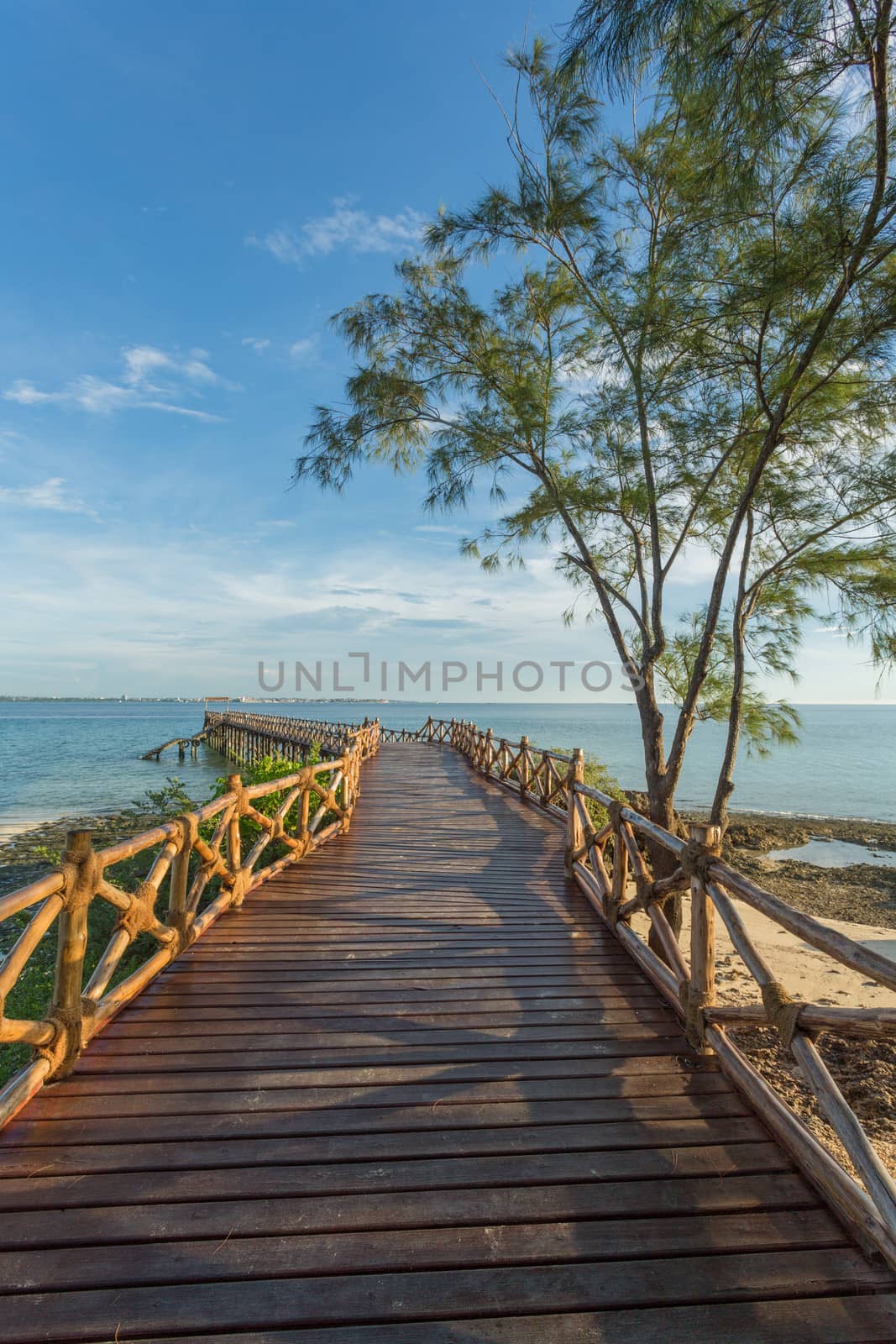 Wooden pier on the Indian Ocean  by derejeb