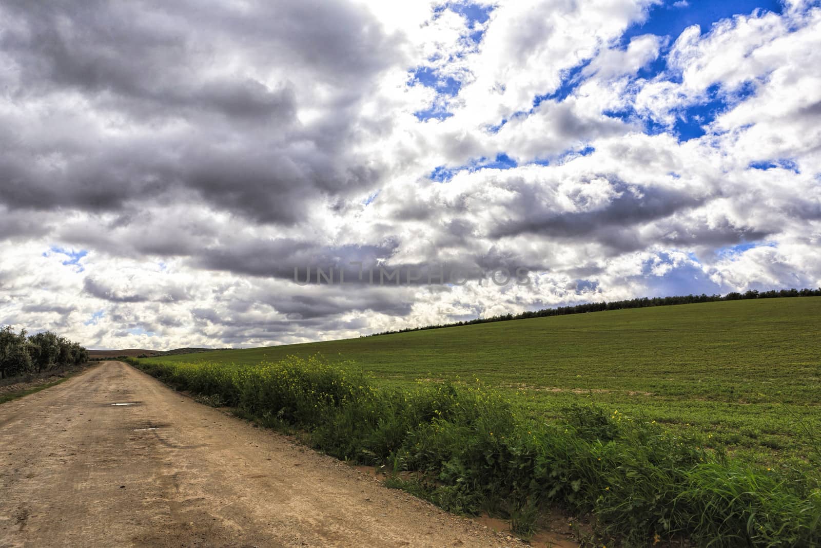 landscape with green grass, road and clouds by digicomphoto
