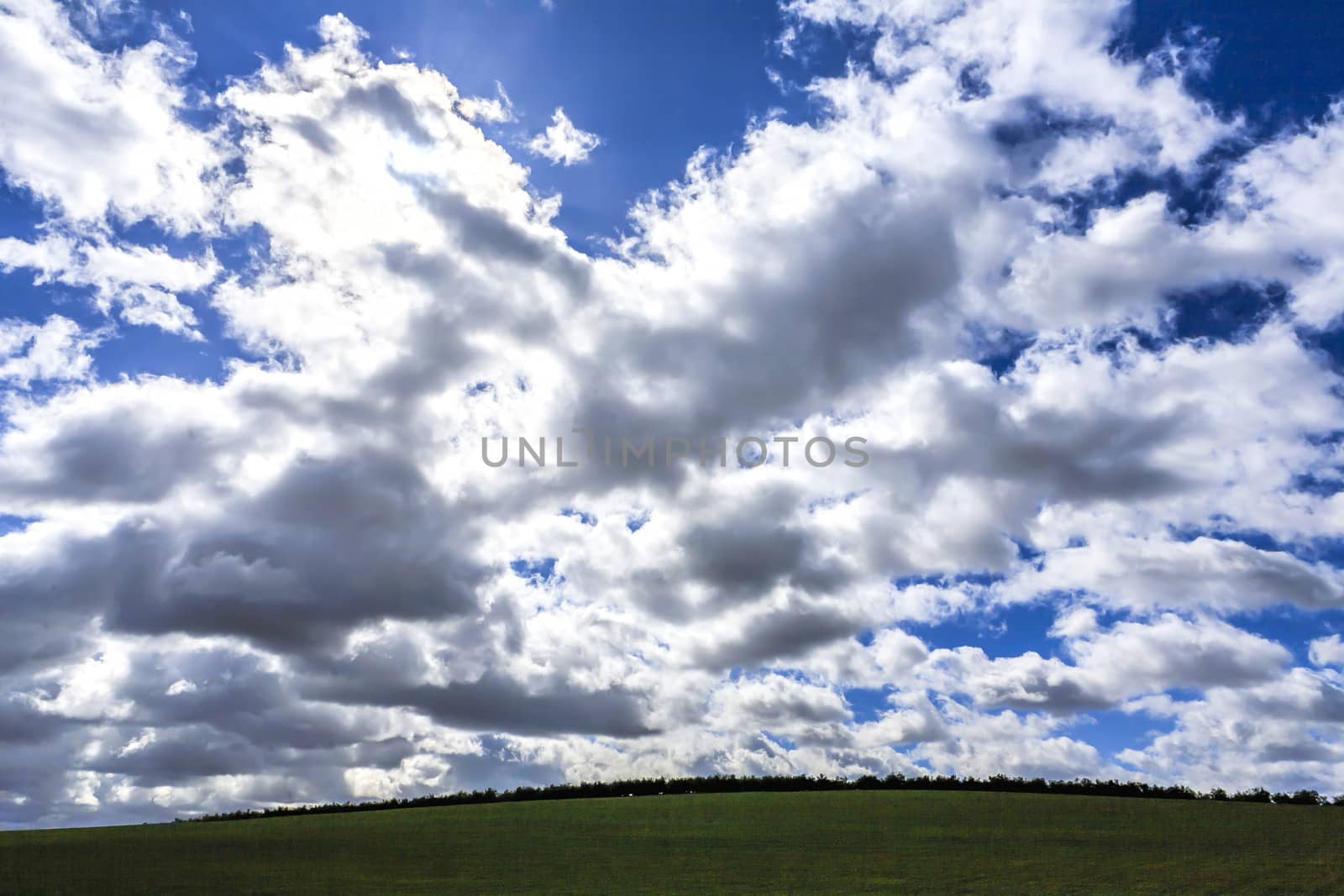 landscape with green grass, road and clouds