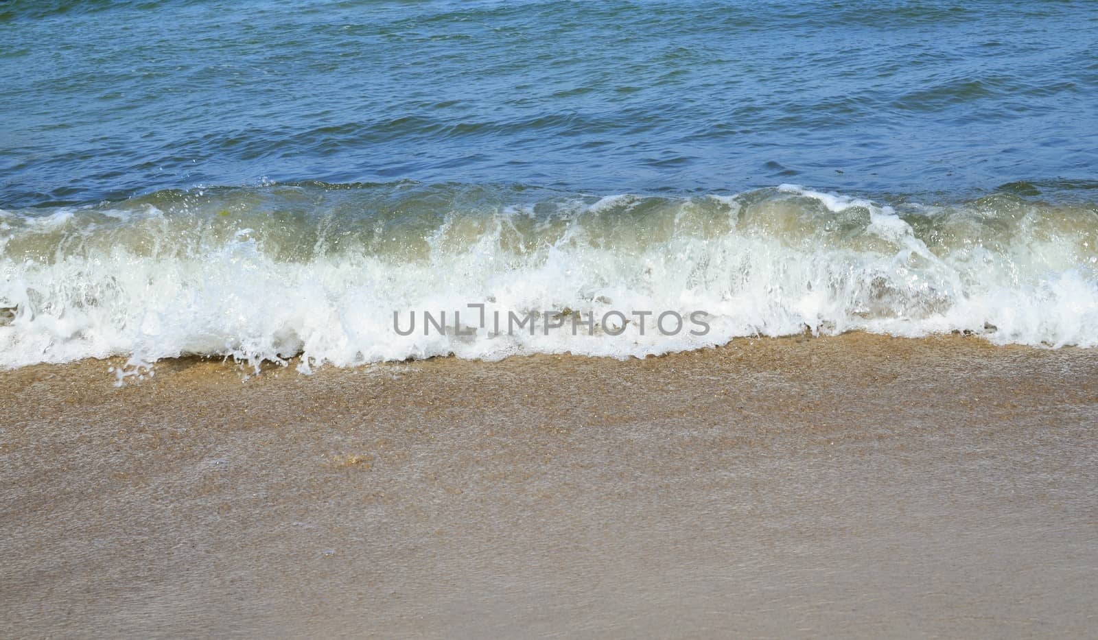 Baltic Landscape with Beach and Sea