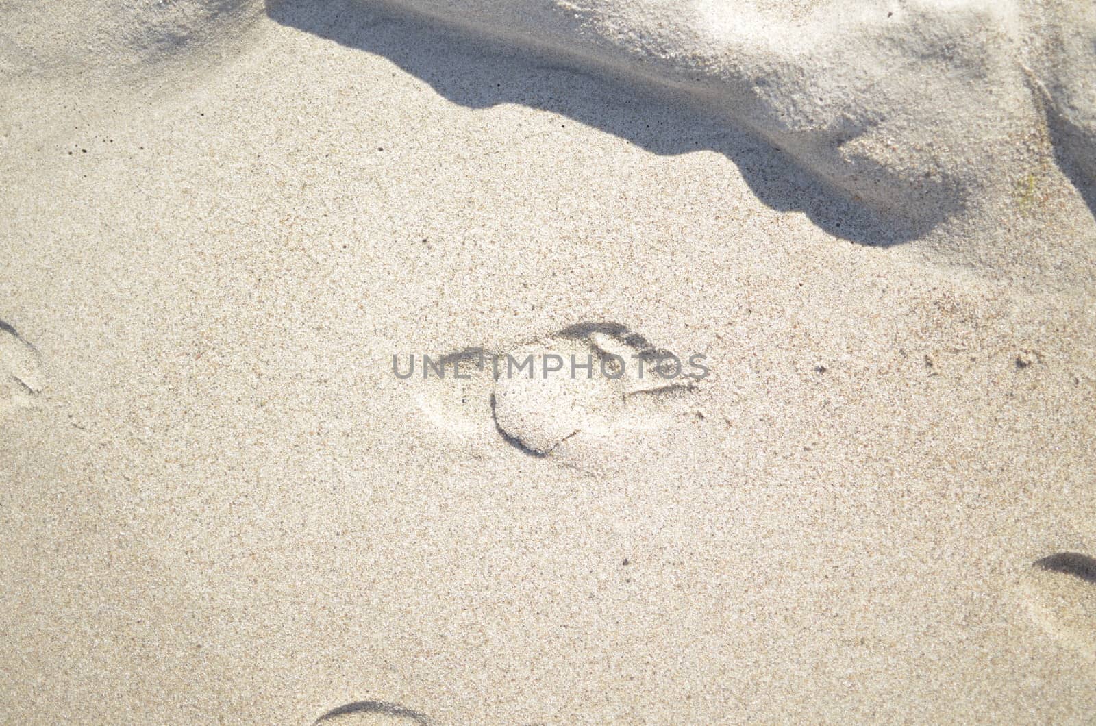 Foot Print on Sandy Beach by fstockluk