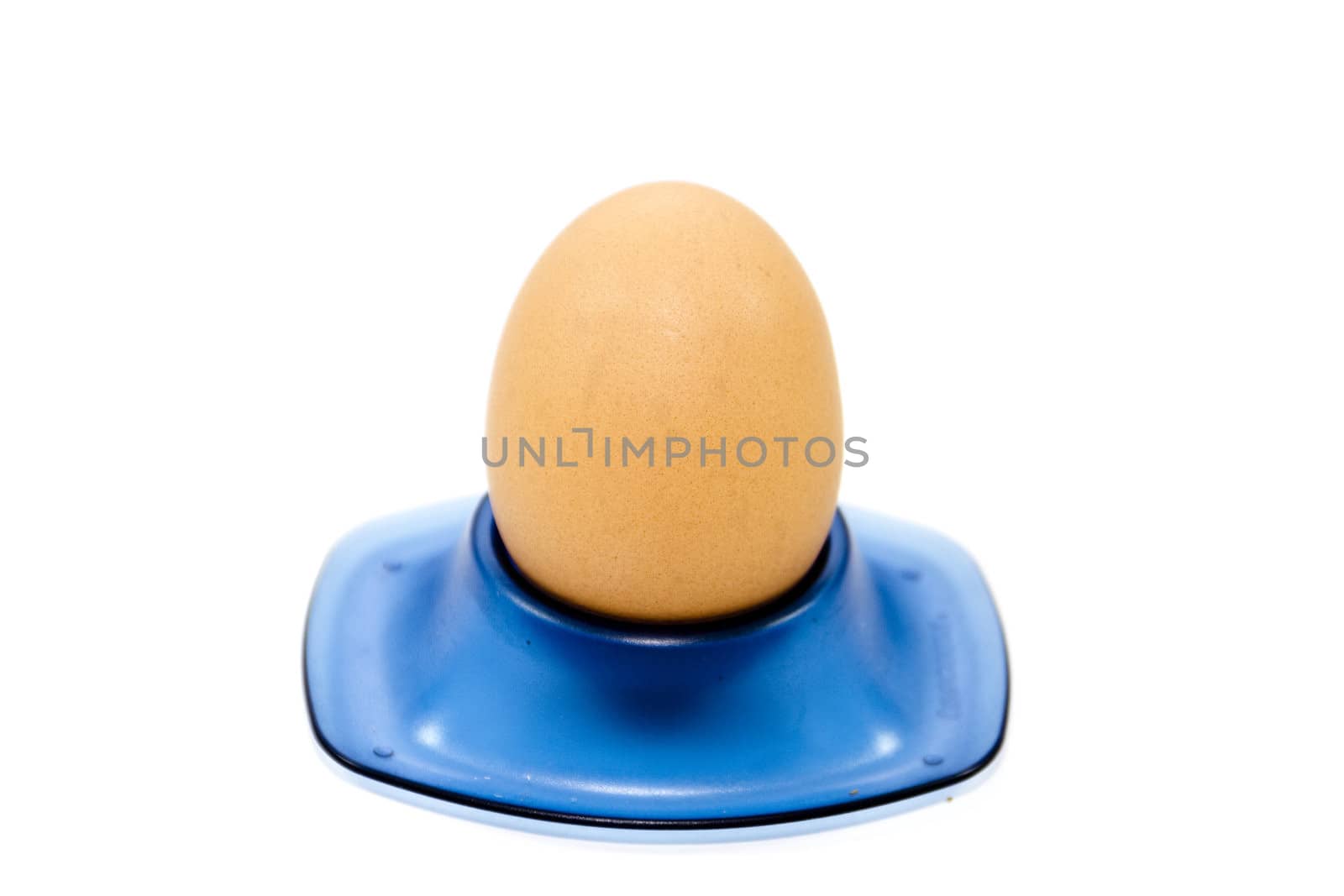 Fresh Brown Egg in Egg Cup
