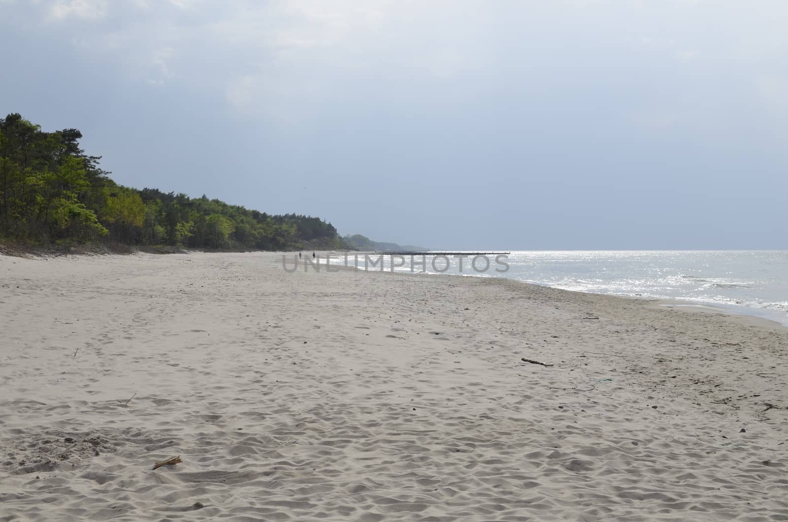 Baltic Landscape with Forest,Beach,Sea and Storm Clouds by fstockluk