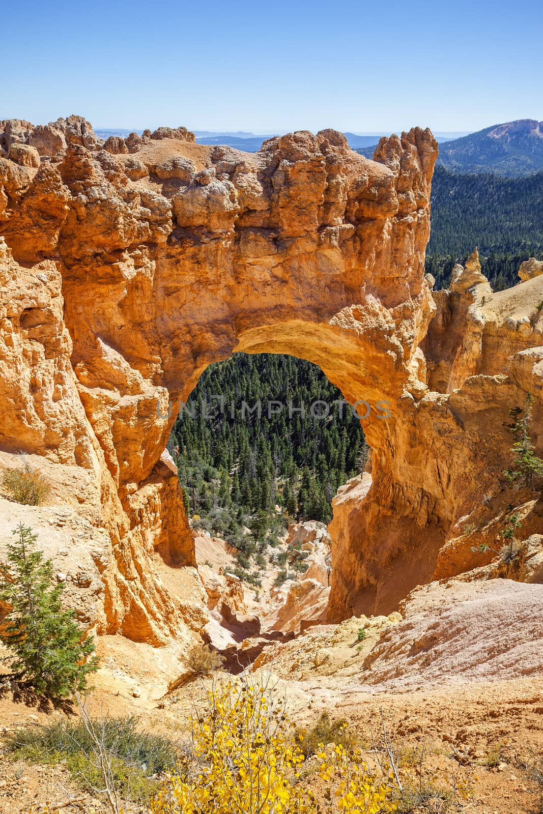 Natural Bridge Point in Bryce Canyon by vwalakte