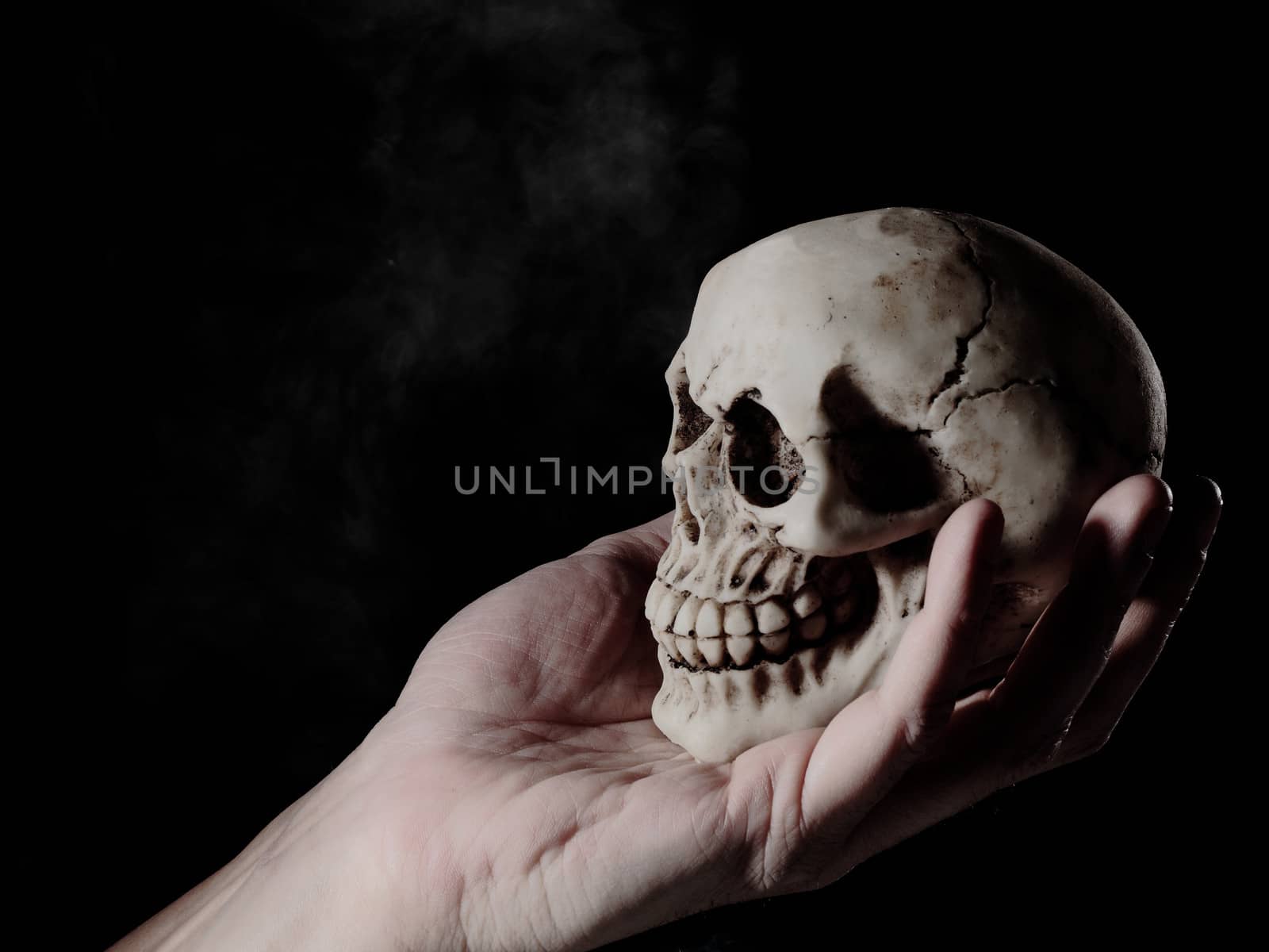 human skull on a human hand