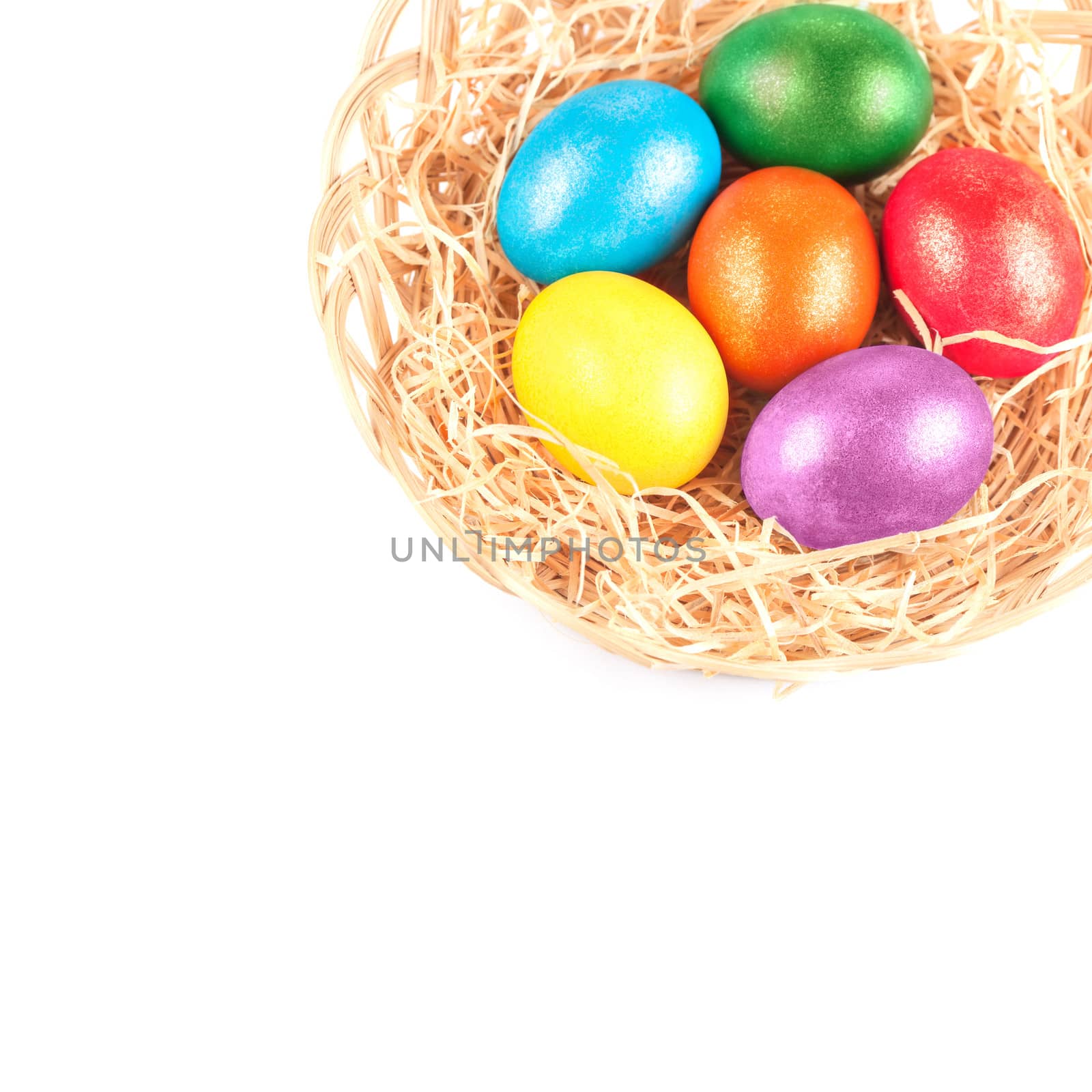 easter eggs in nest on white background