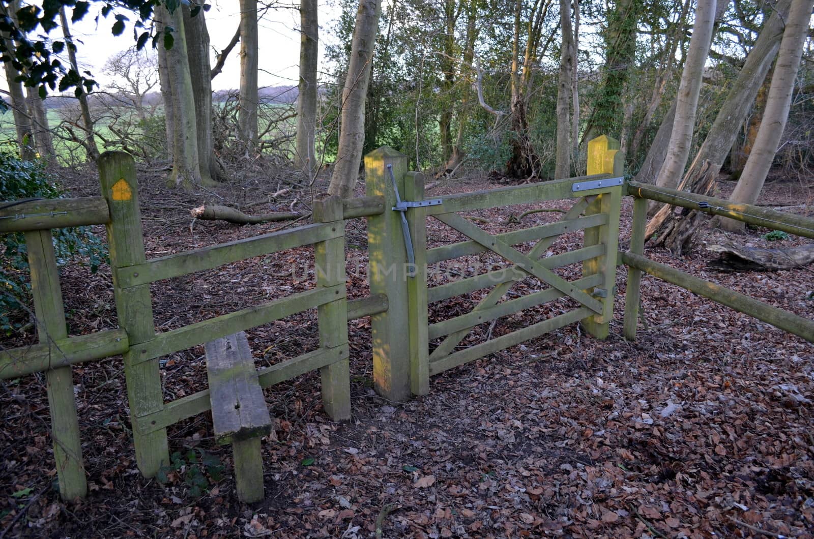 Wooden country gates,one for the public and the other for riders on horses.