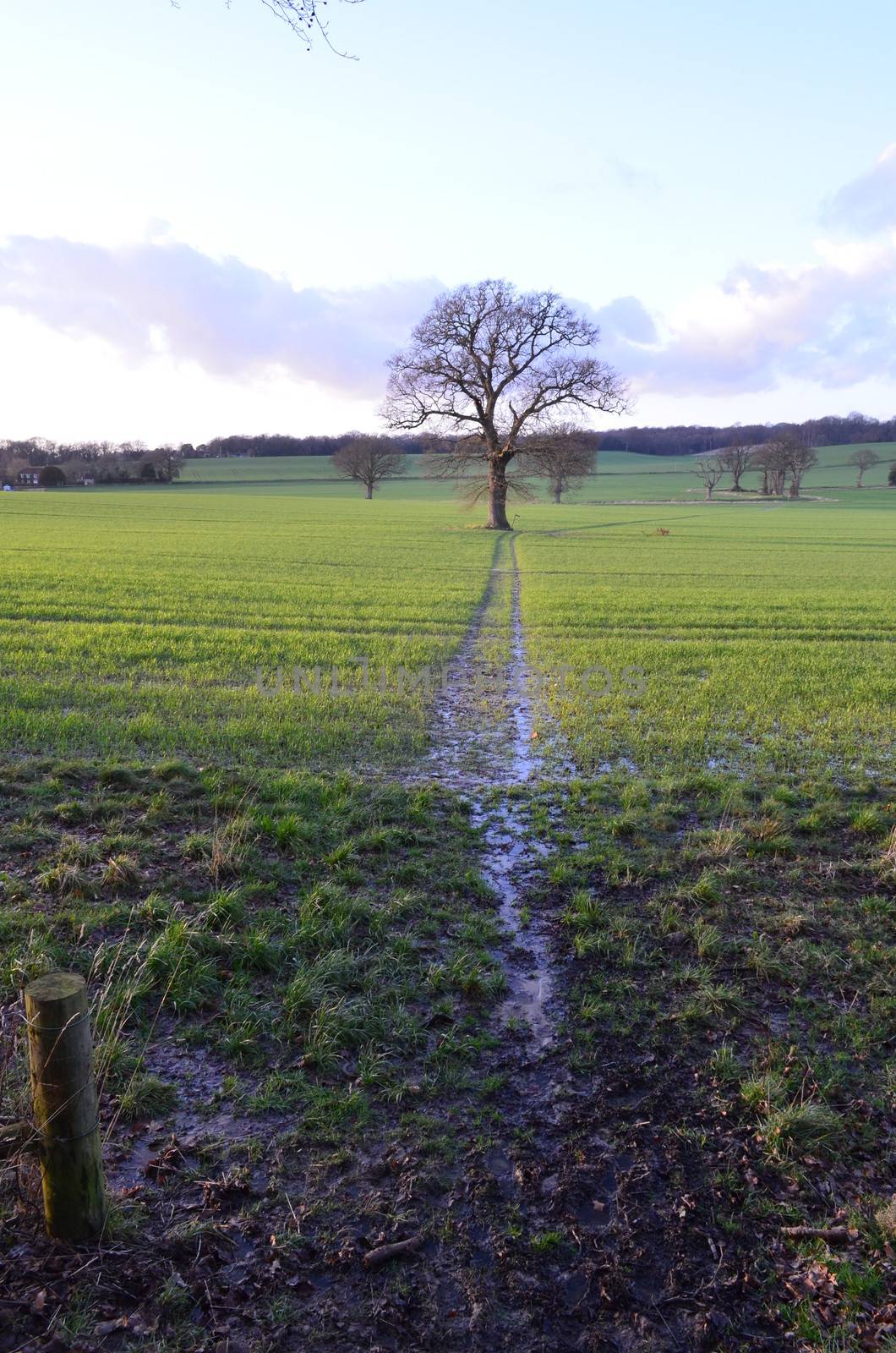 England during Winter and a farmers field is drenched due to weeks of heavy rain.