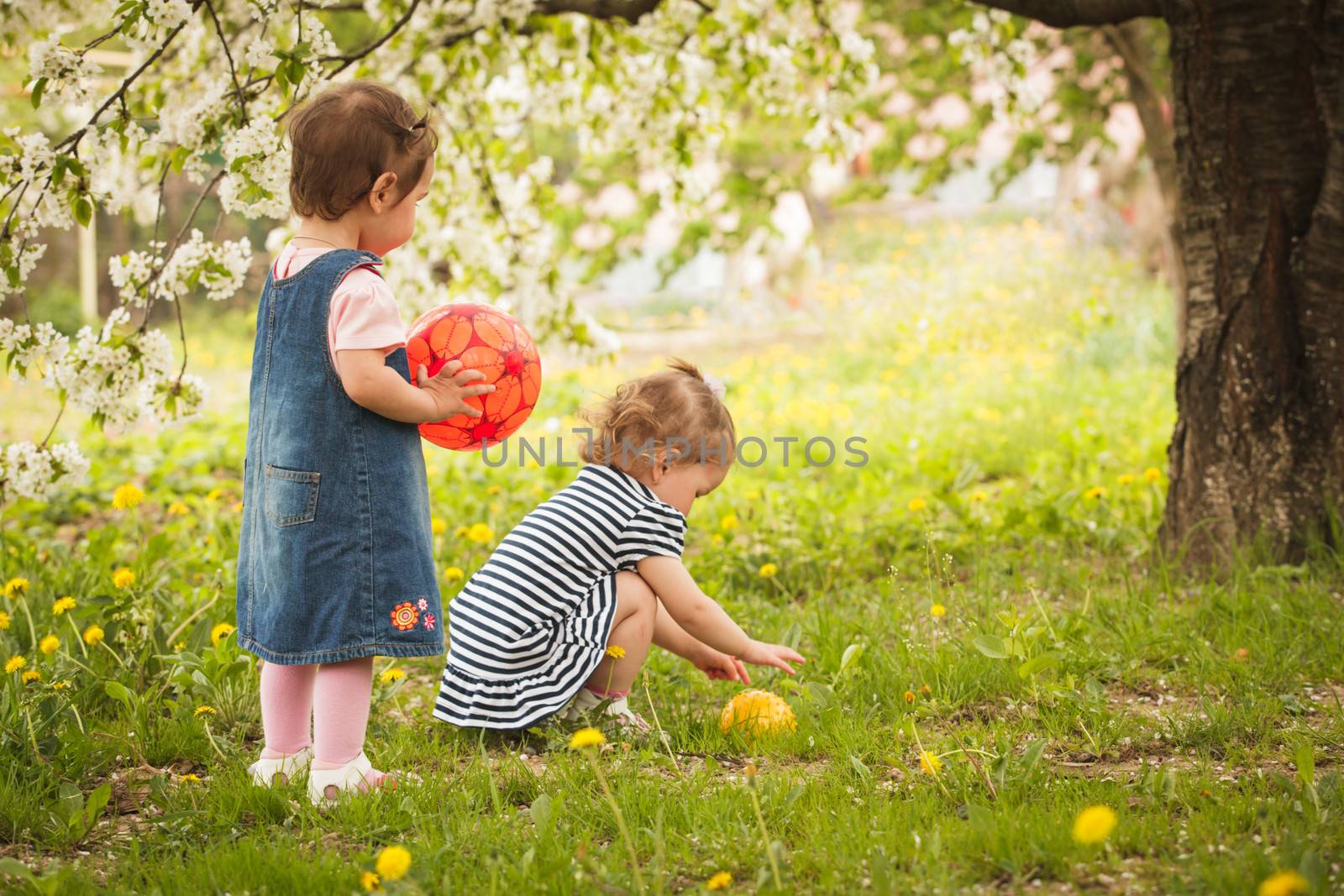 Two little girls in the park under the blossom tree, play with balls