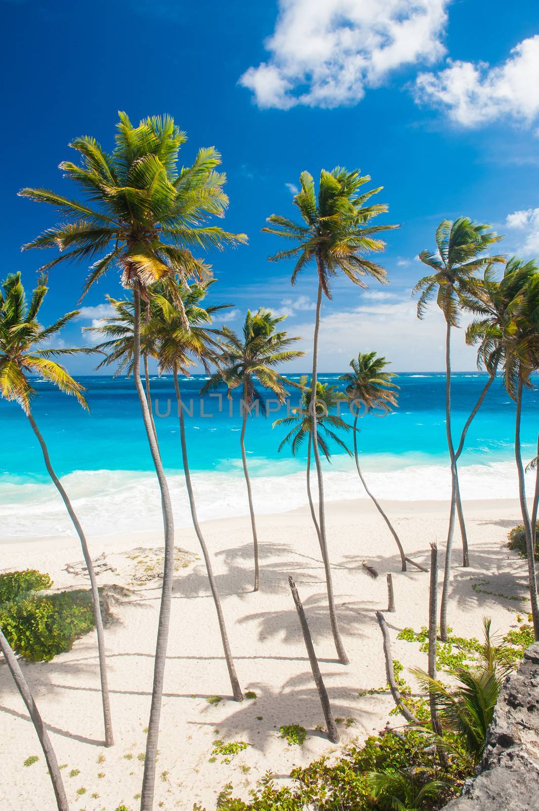 Bottom Bay is one of the most beautiful beaches on the Caribbean island of Barbados. It is a tropical paradise with palms hanging over turquoise sea