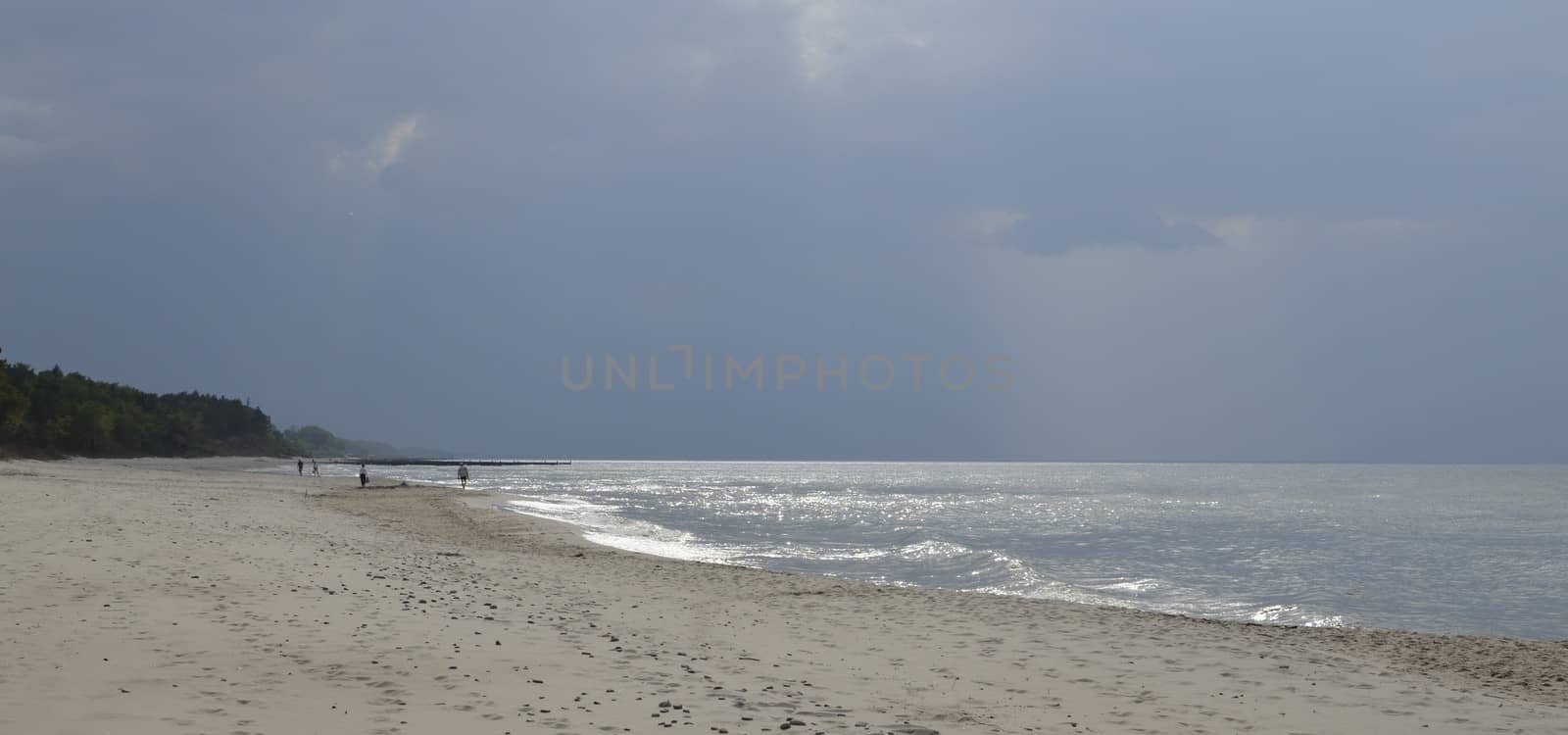 Baltic Landscape with Forest,Beach,Sea and Storm Clouds