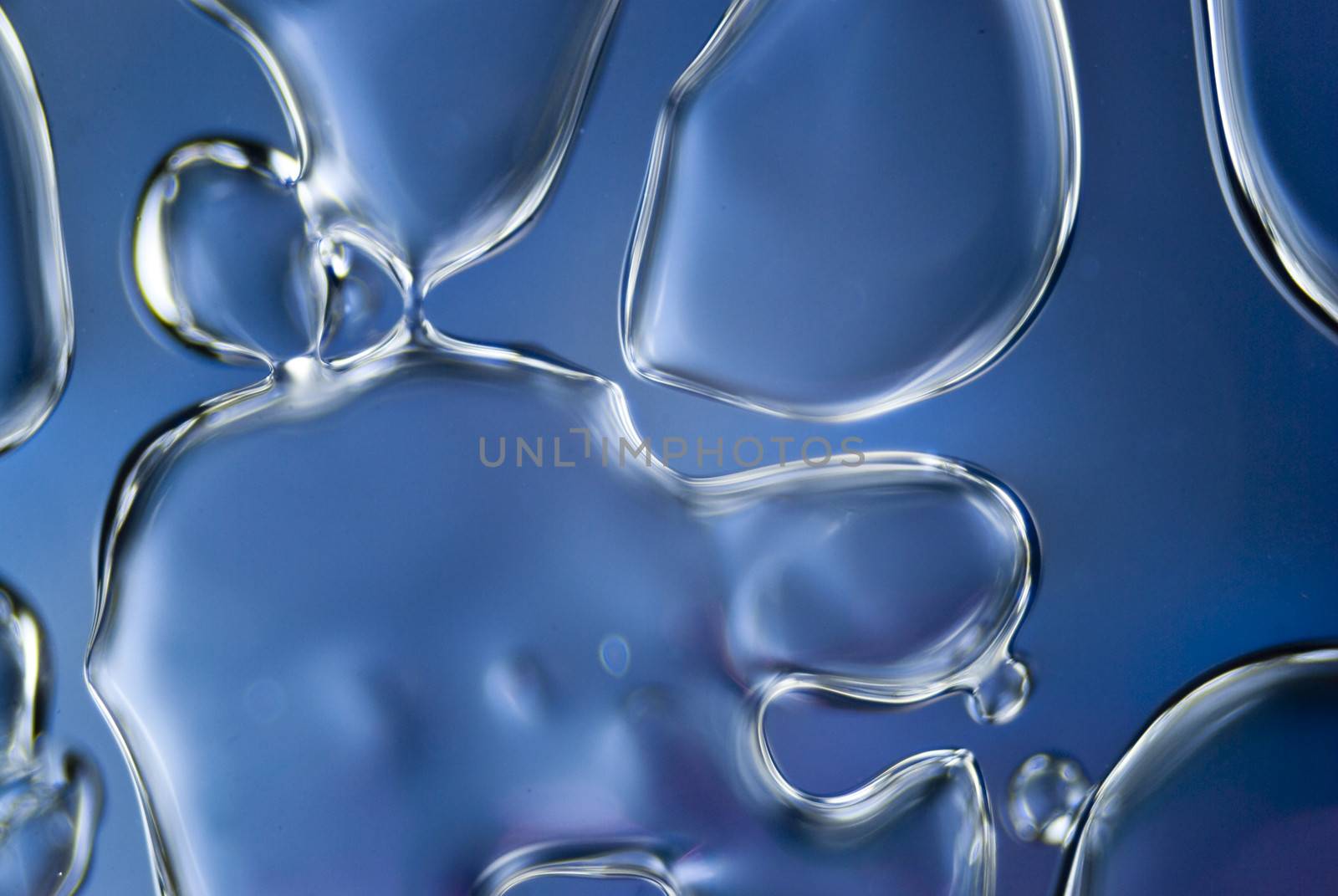 Micro Photo of Glue Bubbles