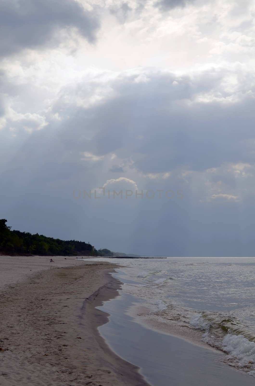 Baltic Landscape with Forest,Beach,Sea and Storm Clouds