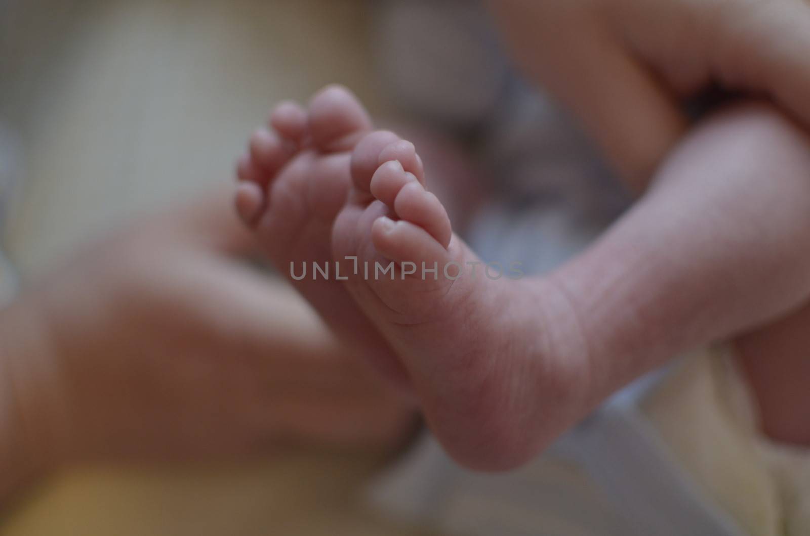 Newborn, Baby Feet Closeup With Blurred Background