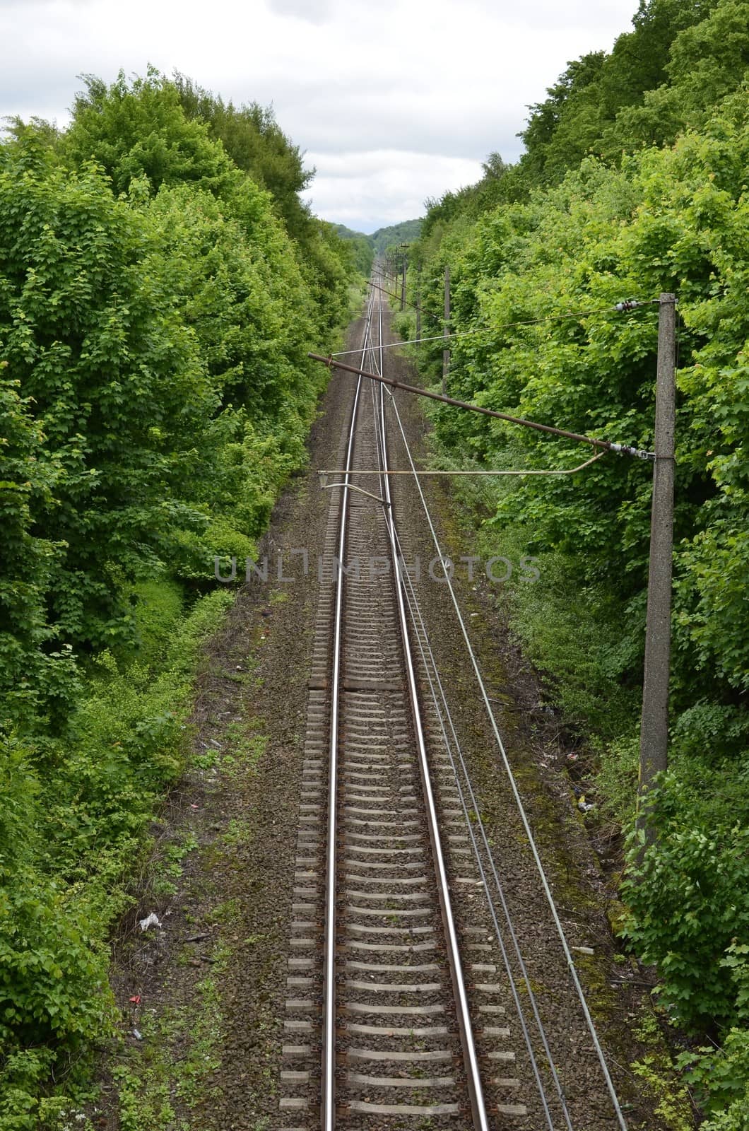 Railroad Tracks Leading Through The Forest.