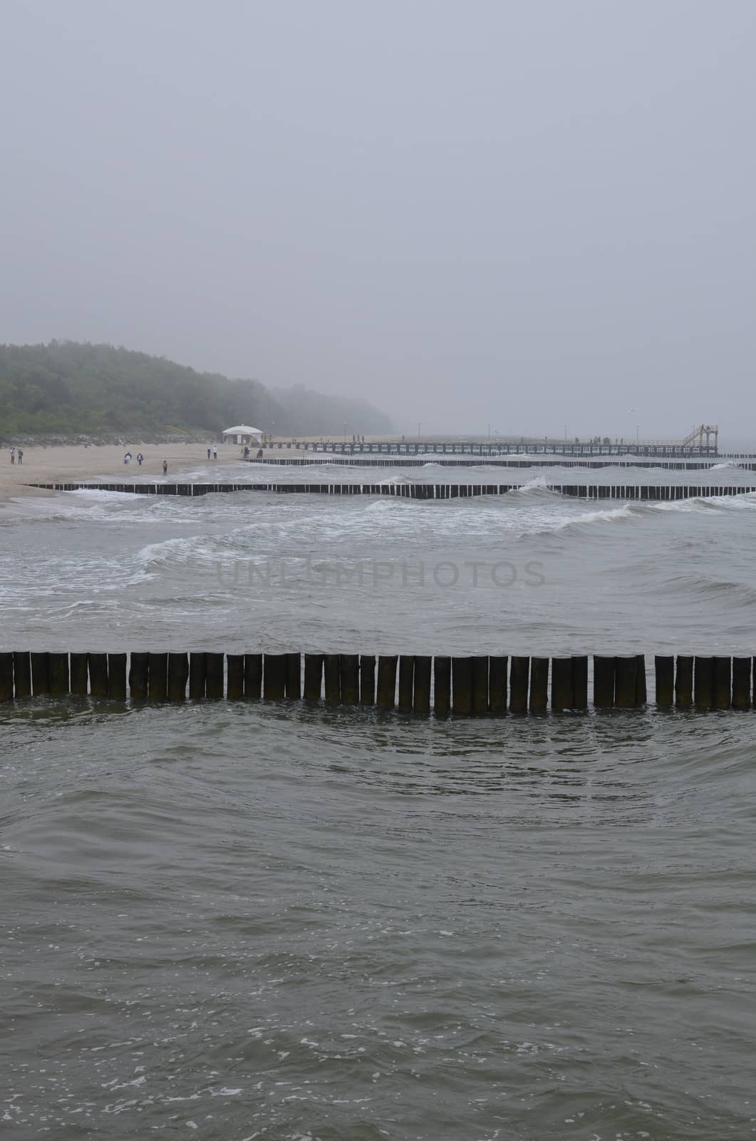 Foggy Day at Baltic Beach.