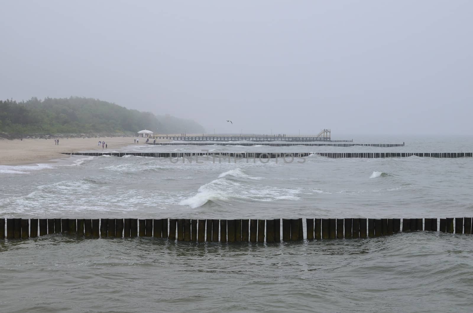 Foggy Day at Baltic Beach.